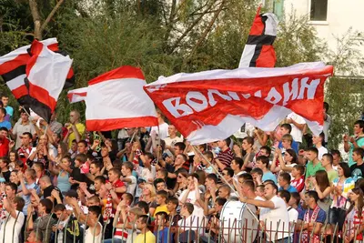 «Волинь» — «Металіст» Харків: фото 9 з 19