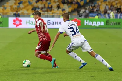 «Динамо» Київ — «Волинь» 1:1: фото 12 з 15