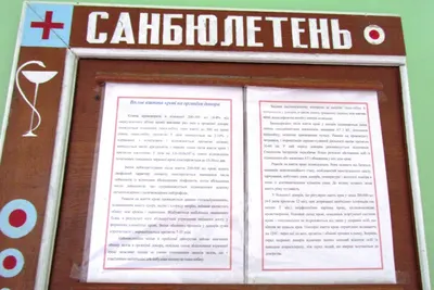 Вболівальники Волині здали кров на потреби воїнів українських: фото 4 з 18
