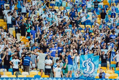 «Динамо» — «Волинь» 2:1: фото 18 з 90