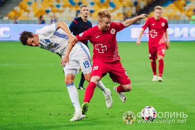 «Динамо» — «Волинь» 2:1: фото 27 з 90