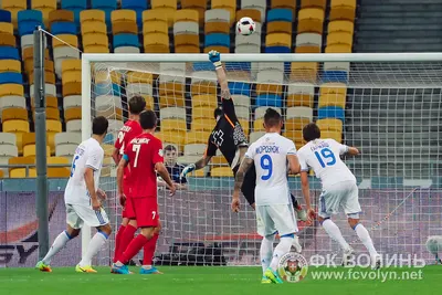 «Динамо» — «Волинь» 2:1: фото 38 з 90