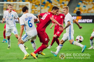 «Динамо» — «Волинь» 2:1: фото 49 з 90