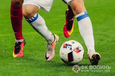«Динамо» — «Волинь» 2:1: фото 53 з 90