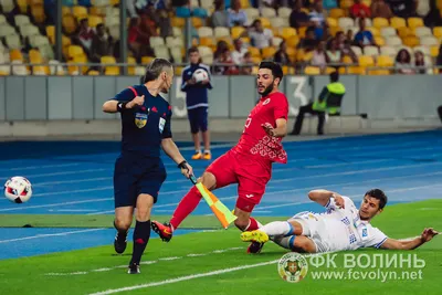 «Динамо» — «Волинь» 2:1: фото 57 з 90