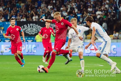 «Динамо» — «Волинь» 2:1: фото 62 з 90