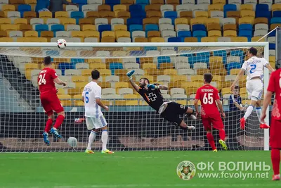 «Динамо» — «Волинь» 2:1: фото 67 з 90
