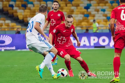 «Динамо» — «Волинь» 2:1: фото 71 з 90