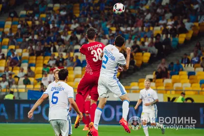 «Динамо» — «Волинь» 2:1: фото 74 з 90